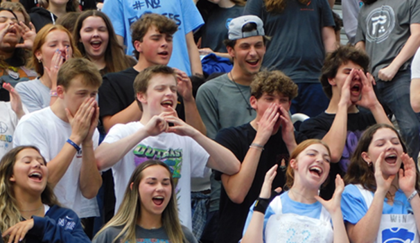 Students cheering in the stand